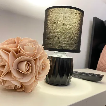 Fiona3 Centrum700m Parking Bezplatny Monitorowany Salon Tv Sypialnia Tv Lazienka Kuchnia Rekuperacja * 卡尔帕奇